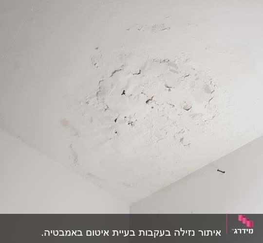 Ceiling with water damage and peeling paint